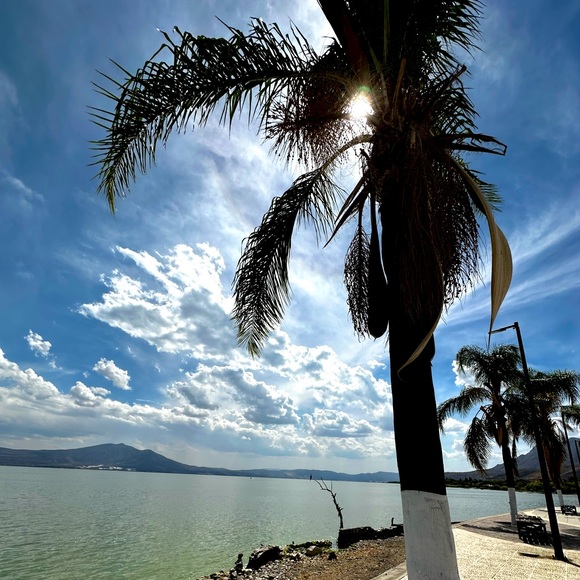 Meet your Posher, Aloha - Picture 2 of 6